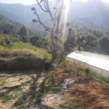 Parvatiya Homestay Mussoorie Exterior foto